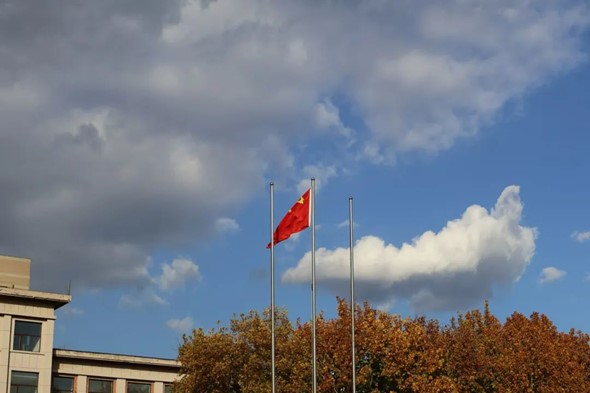 图片29.jpg